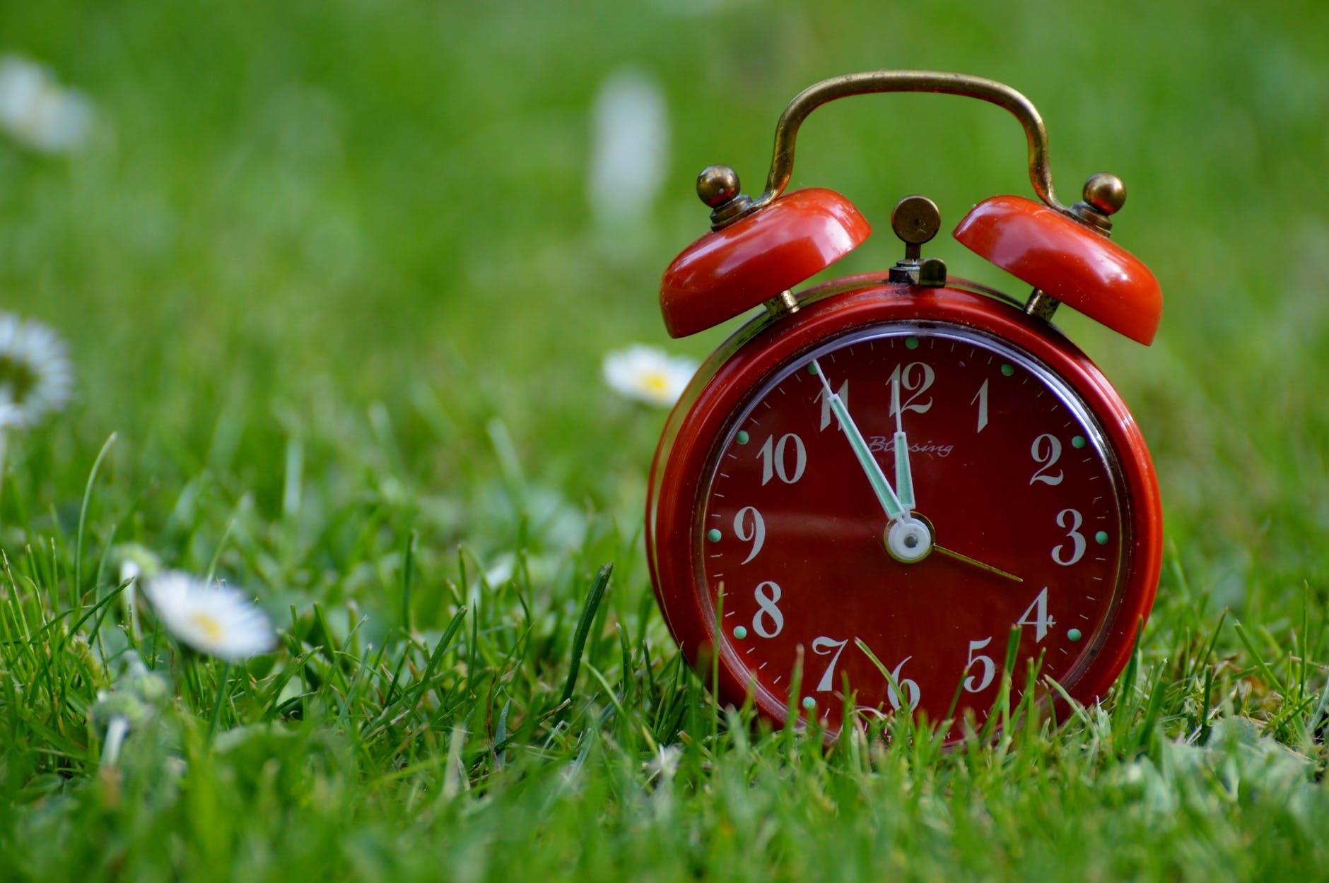 Red alarm clock in grass